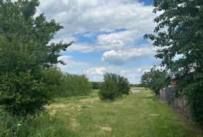 Vand teren intravilan Calugareni judet Giurgiu 3300mp - 1