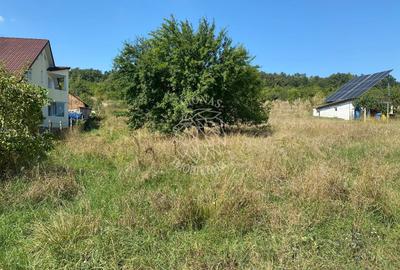 Teren intravilan 1300 mp-Viile cu Pomi-Unirea-Exclusiv - 6
