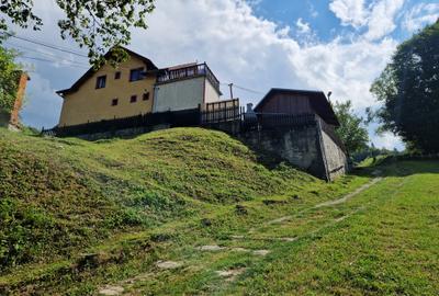 Pensiune în mijlocul naturii Bran - 1