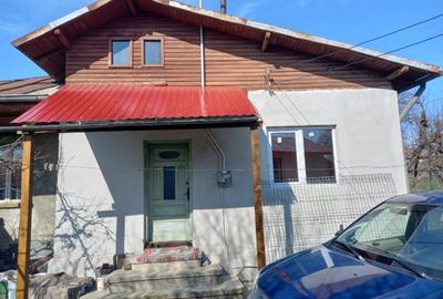 Vand teren, livada + 2 corpuri de casa batranesti - 8