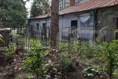 Casa de vanzare, 160 mp utili si 590 mp curte, zona 0 Iasi - 8