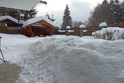 Casa de vacanta sau pensiune situata langa Cabana Trei Brazi Predeal - 50
