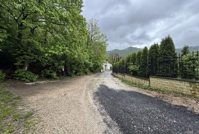 Apartament cu vedere spre Tâmpa, liniște și natură, în Centrul Istoric al Brașov - 25