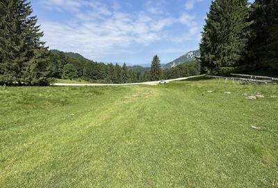 PREDEAL - Teren intravilan 6,000 m² -Poiana Secuilor - 8