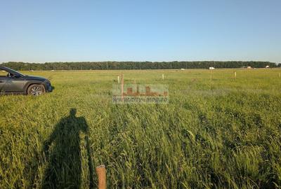 Vanzare Teren Constructii 1000 mp in Pipera Voluntari, - 4