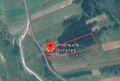 Teren de vânzare | 2,2 ha pădure și fâneață/arabil | zona Hotar, Bihor - 1