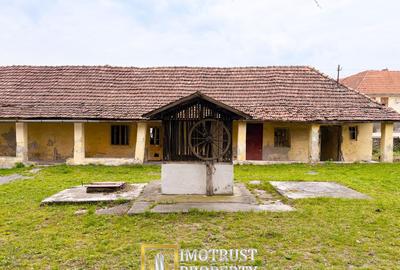 Castel istoric de vânzare în Conop | proprietatea lui Cicio Pop - 8