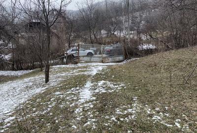 Teren 4652 mp cu izvor pe el, Lunca Mare, lângă păstrăvăria Doftana - 3