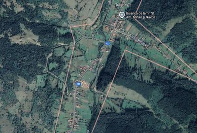Teren intravilan 33300 mp * Oportunitate Tulghes * Jud. Harghita * Negociabil - 1