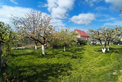 Vilă + Teren Generos 1400 MP | Burdujeni – zona Penny - 38
