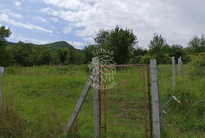 Teren 1000mp+cota drum-ideal cabana/investitie-panorama-Valea Rusului - 4