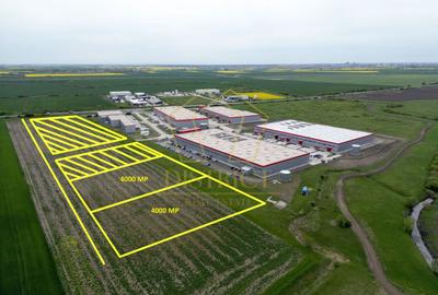 COM 0% Parcele industriale pentru hale, servicii | Sanandrei - 1