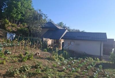 PROPRIETAR VIND URGENT CASA - 5