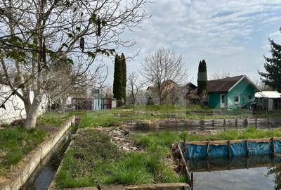 Investitie: Casa cu teren constructii si pastravarie - Prejmer, Brasov - 6
