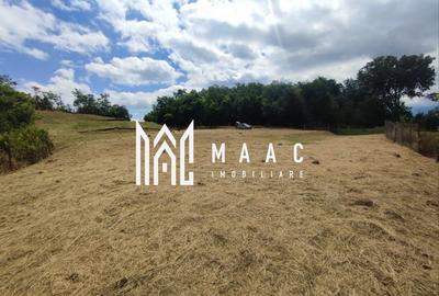 Teren intravilan | 3860 mp în Sărata | ideal pensiune sau resort - 1