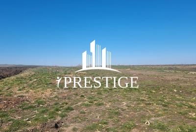 TEREN INTRAVILAN PENTRU CONSTRUCȚIE CASĂ | ȘURA MICĂ | PUZ APROBAT - 3