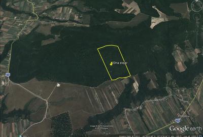 Vand parcele PADURE seculara stejar, N.Balcescu Valcea, la drum, conditii CABANA - 1