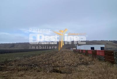Teren de vanzare Girov 24.500 Euro 3200MP - 3