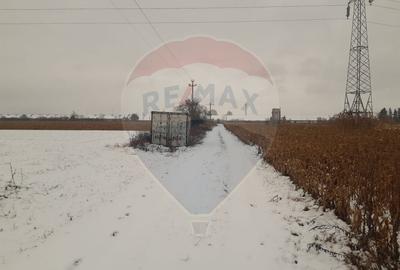 Teren 5460mp Brasov-Stupini / Strada Plaiului - 13
