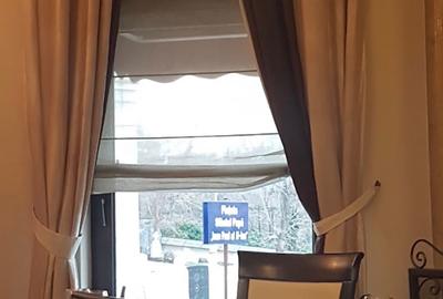 Cismigiu, priveliste superba,  vila consolidata si renovata total. - 10