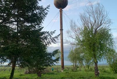 De Vânzare – Fermă de Pomi Fructiferi, 48,8 ha, Iancu Jianu, Jud. Olt - 17