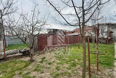 Casa individuala cu 6 camere de vanzare zona Plopi Timisoara - 6