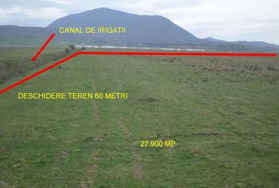 Teren ideal ferma, pt dezvoltare agricola, proiect fotovoltaice - 6