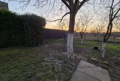 Casă la sol utilata, Micălaca, teren 765 mp, front 27 m, 0% comision - 19