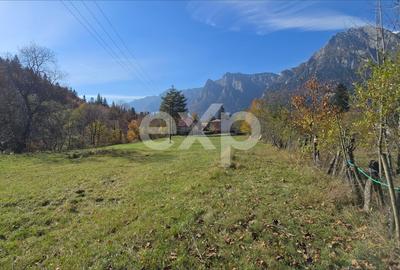 Teren intravilan în Bușteni, cu vedere spectaculoasă spre Crucea Caraiman - 2