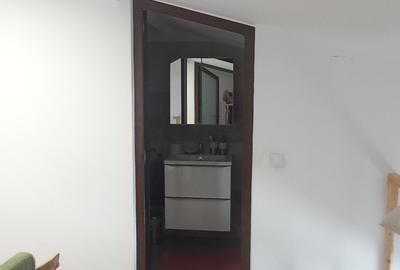 Apartament 2 camere Calea Calarasilor cu gradina - 22