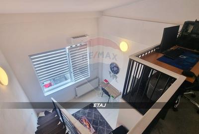 Apartament 3 camere, doua niveluri, compartimentare unica-Victor Babes - 14