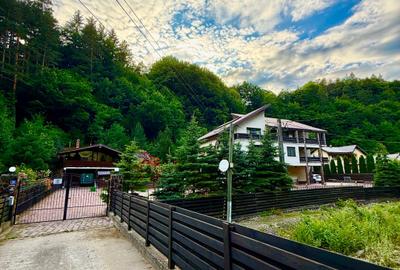 Casa de vacanta sau pensiune | Batca Doamnei | Teren in natura - 1