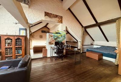 Zona Iancu Nicolae, vila de vanzare, 382 mp construiti - 3