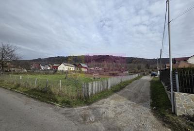 Vila de vacanta cu 4 camere de vanzare in Valea Doftanei - 5