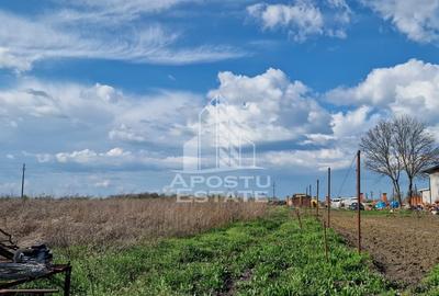 Teren intravilan , curent , apa , nr de casa Sacosu Turcesc - 1