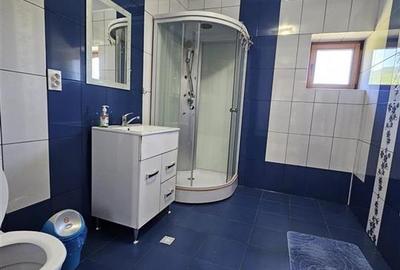 TEREN INTRAVILAN DEVANZARE 33161 MP DE VANZARE TARGU OCNA - 19