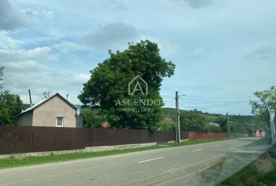 Domeniu 15.900 mp în Fințești | Casă + Investiție Dealu Mare - 20