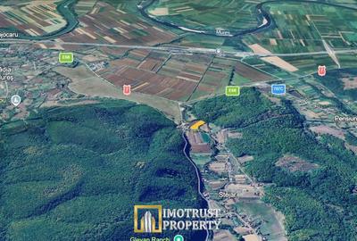 Teren cu acces la râu în Stejar – ideal pentru cabane sau retreat - 8