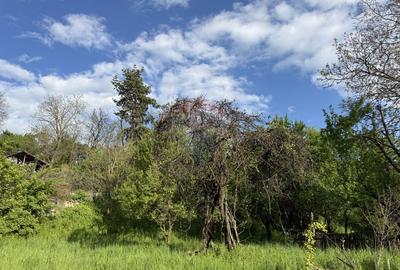 Teren de vânzare in Voinesti / Leresti înconjurat de natura - 13