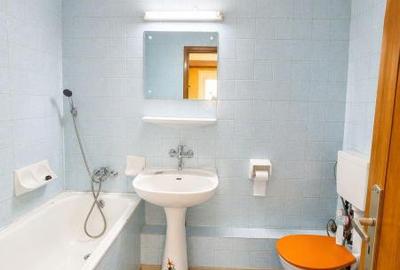 Apartament 2 camere etaj 5 zona Teiul Doamnei - 4