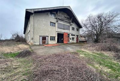 Hala, spatiu comercial, vad, de la 423mp la 1744mp, Vama Albita - 8