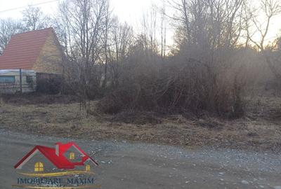 Imobiliare Maxim - teren Valea Avrigului - 1
