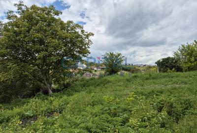 Teren intravilan, 1663 mp, central Dezmir - 6