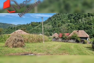 Casa deosebita in zona turistica pitoreasca Valea Ariesului - 9