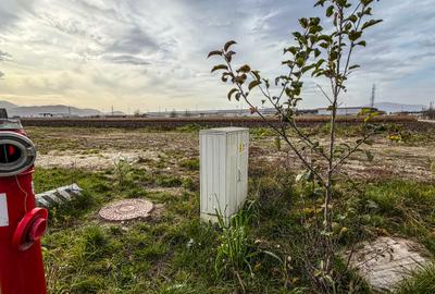 Teren industrial, intravilan, cu utilitati, Stupini, 11.600 mp - 11