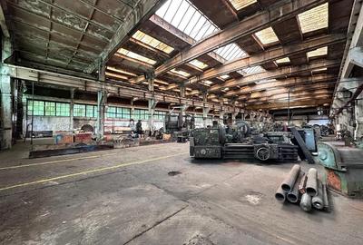 Hala productie, depozitare Vaslui, 5132mp - 16
