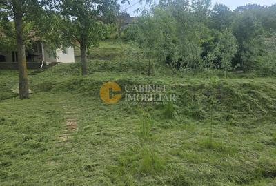 Oază de liniște și natură! Casă  cu 2 heleșteie și pârâu în curte – Probota - 8