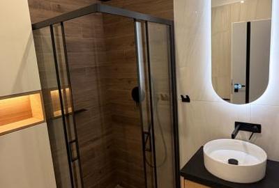 Penthouse la prima inchiriere str C Brancusi - 8