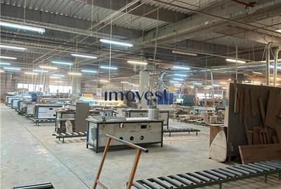 DE VANZARE COMPLEX INDUSTRIAL SATU MARE - 1