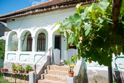 Casă individuală cu 2 camere în Berislăvești